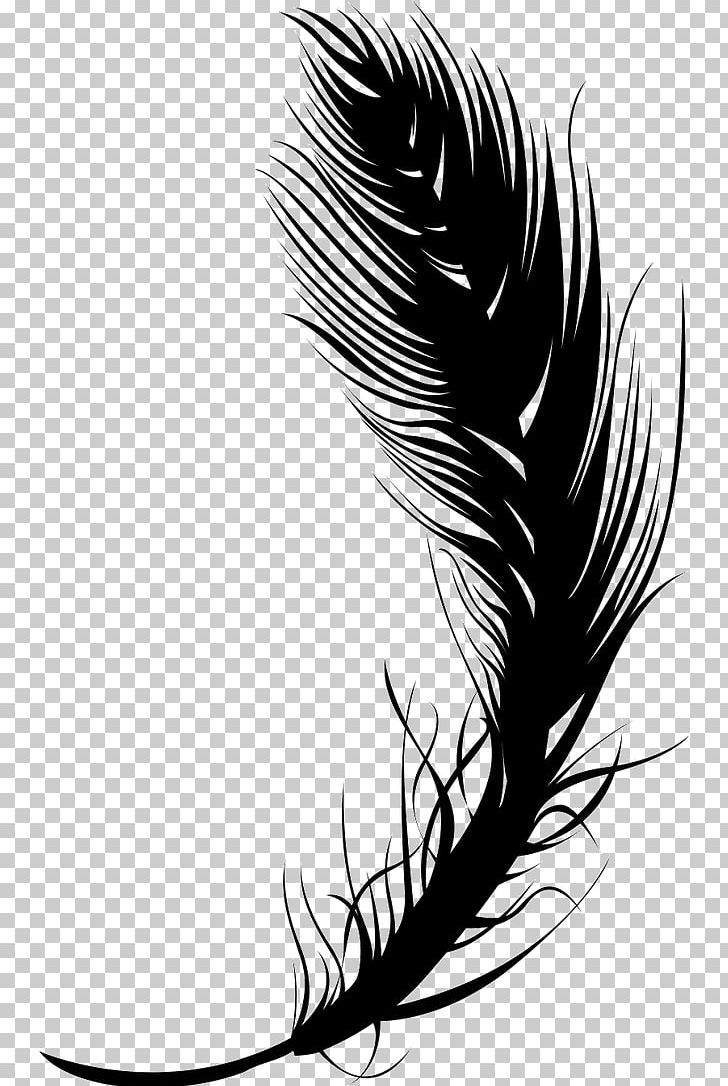 Feather Quill Black PNG, Clipart, Animals, Bac, Bird, Black, Black And White Free PNG Download