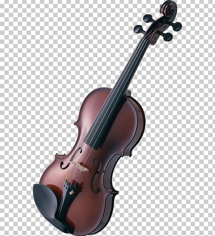 Violin Musical Instruments Cello Guitar PNG, Clipart, Balalaika, Bow, Bowed String Instrument, Cello, Double Bass Free PNG Download