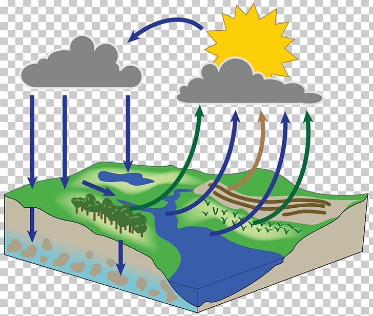 Water Resources Ecosystem Recreation PNG, Clipart, Area, Art, Ecosystem, Grass, Lawn Free PNG Download
