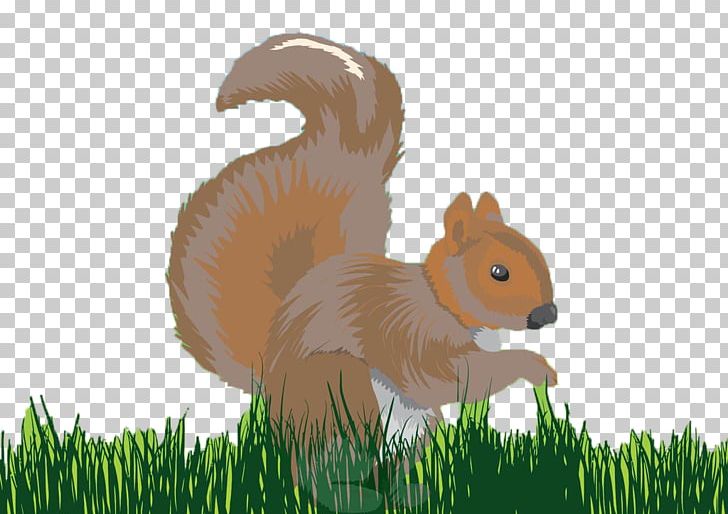 Chipmunk Squirrel Presentation Microsoft PowerPoint PNG, Clipart, Animal, Animals, Australia Kangaroo, Cartoon Kangaroo, Chipmunk Free PNG Download