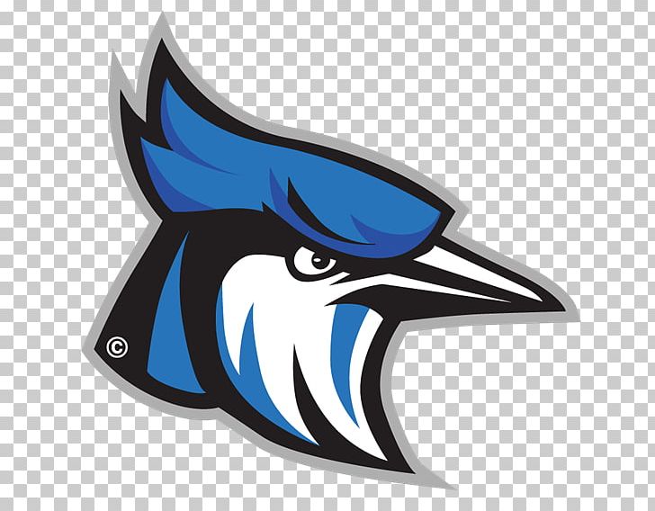 Raytown High School Toronto Blue Jays Middle School PNG, Clipart, Automotive Design, Bird, Education Science, Fish, Football Free PNG Download