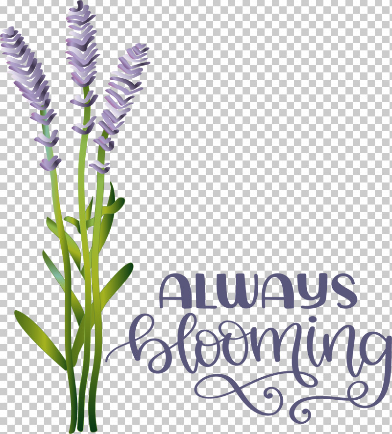 Floral Design PNG, Clipart, Drawing, Floral Design, Flower, Painting, Plant Free PNG Download