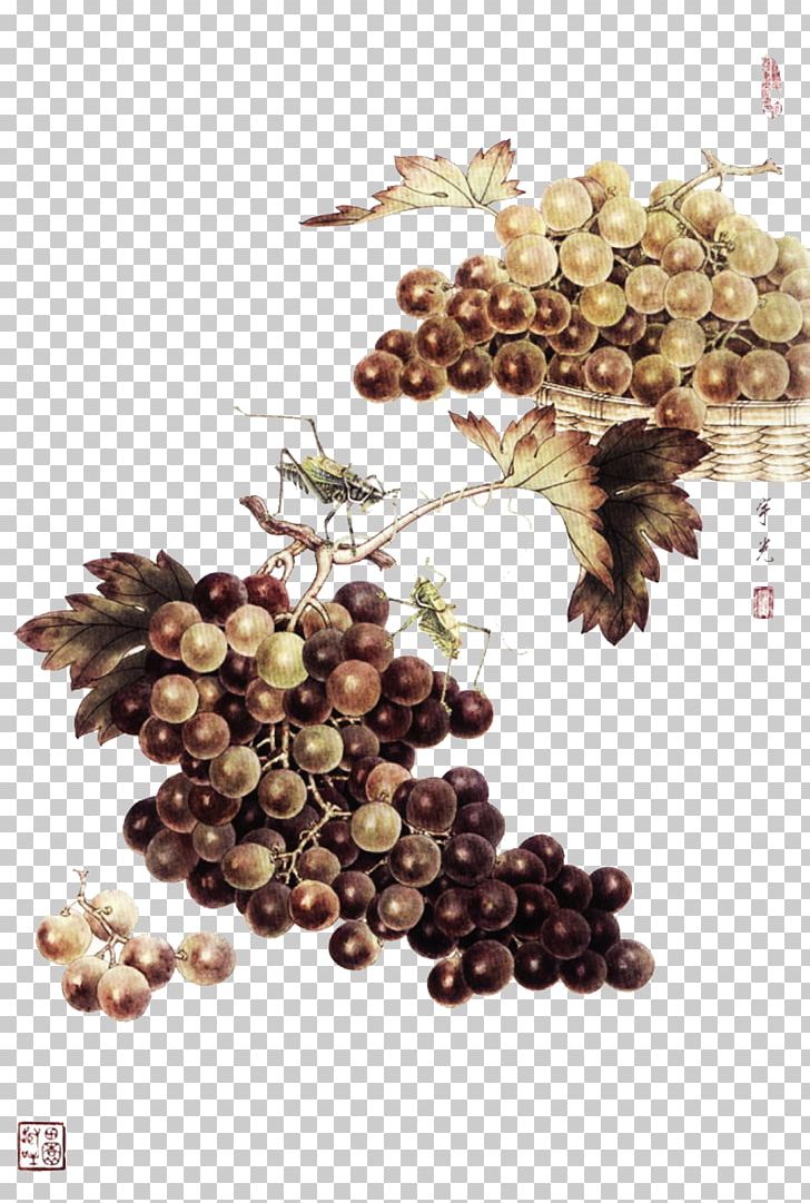 Insect Gongbi Song Dynasty Chinese Painting PNG, Clipart, Auglis, Blackberry, Food, Fruit, Fruit Nut Free PNG Download