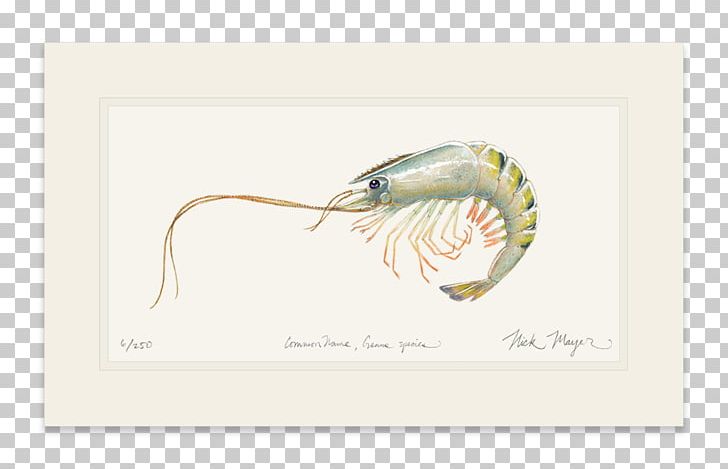 Watercolor Painting Portrait Nick Mayer Art PNG, Clipart, Albula, Americas, Art, Bonefish, Giant Tiger Prawn Free PNG Download