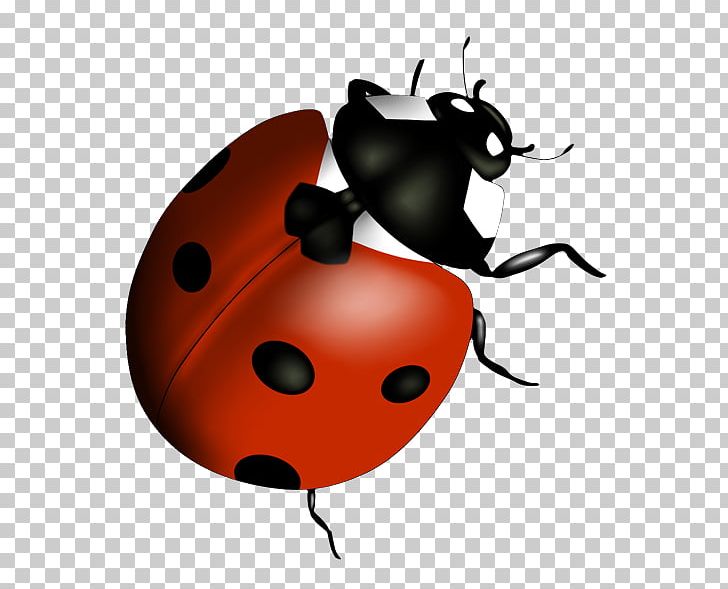 Beetle Lady Bird PNG, Clipart, Animals, Arthropod, Beetle, Fruit, Insect Free PNG Download