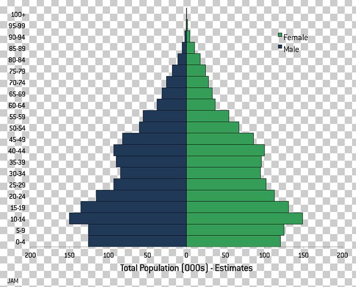 Population Pyramid World Population Human Overpopulation PNG, Clipart, Baby Boom, Christmas Tree, Cone, Demographic Transition, Demography Free PNG Download