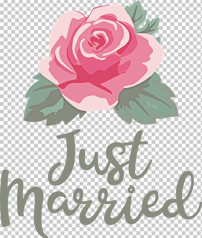 Just Married Wedding PNG, Clipart, Cabbage Rose, Cut Flowers, Floral Design, Flower, Garden Free PNG Download