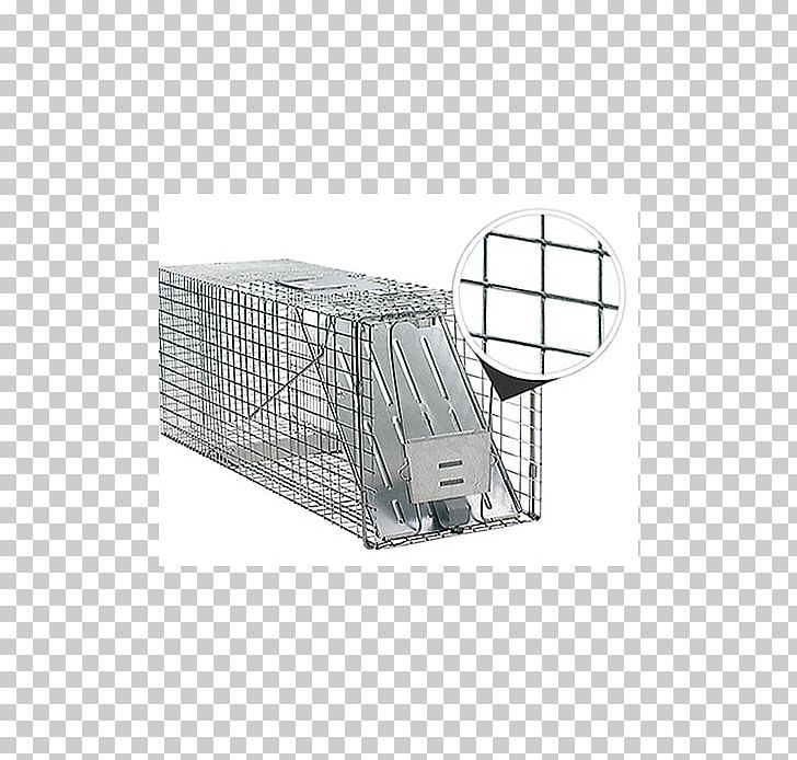 Raccoon Trapping Nuisance Wildlife Management Pest Control Cage PNG, Clipart, Angle, Animal, Animals, Booby Trap, Cage Free PNG Download