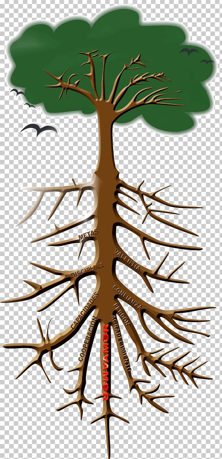 Twig Root Tree Plant Stem Leaf PNG, Clipart, Arbol, Branch, Dema, Dia, Drawing Free PNG Download