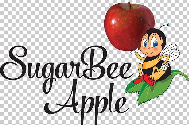Apple Chelan Fresh SugarBee Chelan Fruit PNG, Clipart, Apple, Apple Strudel, Bee, Chelan, Cherry Free PNG Download