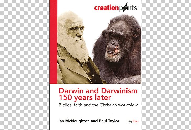 Darwin And Darwinism 150 Years Later: Biblical Faith And The Christian Worldview Common Chimpanzee Bible On The Origin Of Species PNG, Clipart, Advertising, Belief, Bible, Book, Charles Darwin Free PNG Download