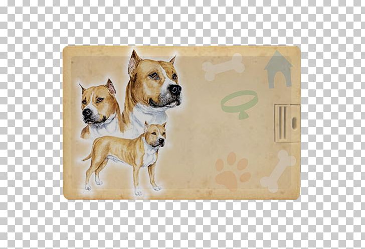 Dog Breed American Pit Bull Terrier Puppy American Staffordshire Terrier Maltese Dog PNG, Clipart, American Pit Bull Terrier, American Staffordshire Terrier, Boxer, Carnivoran, Dog Free PNG Download