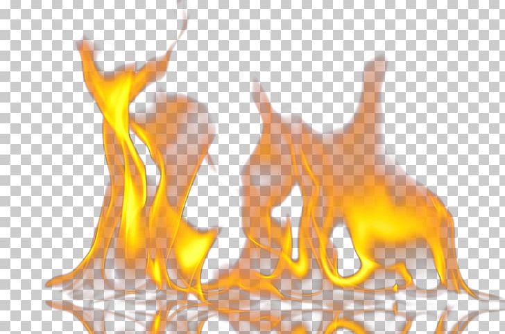 Flame Fire Alcohol Euclidean PNG, Clipart, Alcohol Bottle, Alcohol Label, Carnivoran, Computer Wallpaper, Dog Like Mammal Free PNG Download