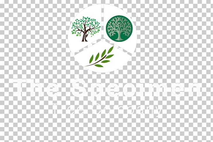Logo Brand Tree Font PNG, Clipart, Brand, Grass, Green, Logo, Nature Free PNG Download