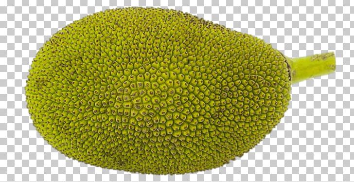Jackfruit Food Breadfruit Banana PNG, Clipart, Auglis, Background, Banana, Battle Cry, Breadfruit Free PNG Download