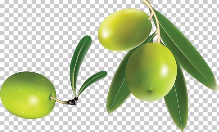 Olive Computer Icons PNG, Clipart, Citrus, Computer Icons, Display Resolution, Drawing, Encapsulated Postscript Free PNG Download