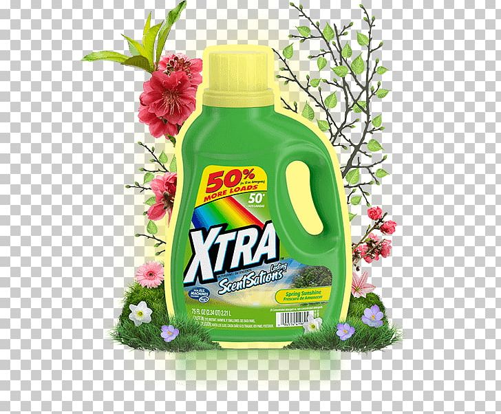 Laundry Detergent Xtra Spring Sunshine Liquid PNG, Clipart, Citrus, Cleaning, Company, Detergent, Factory Free PNG Download
