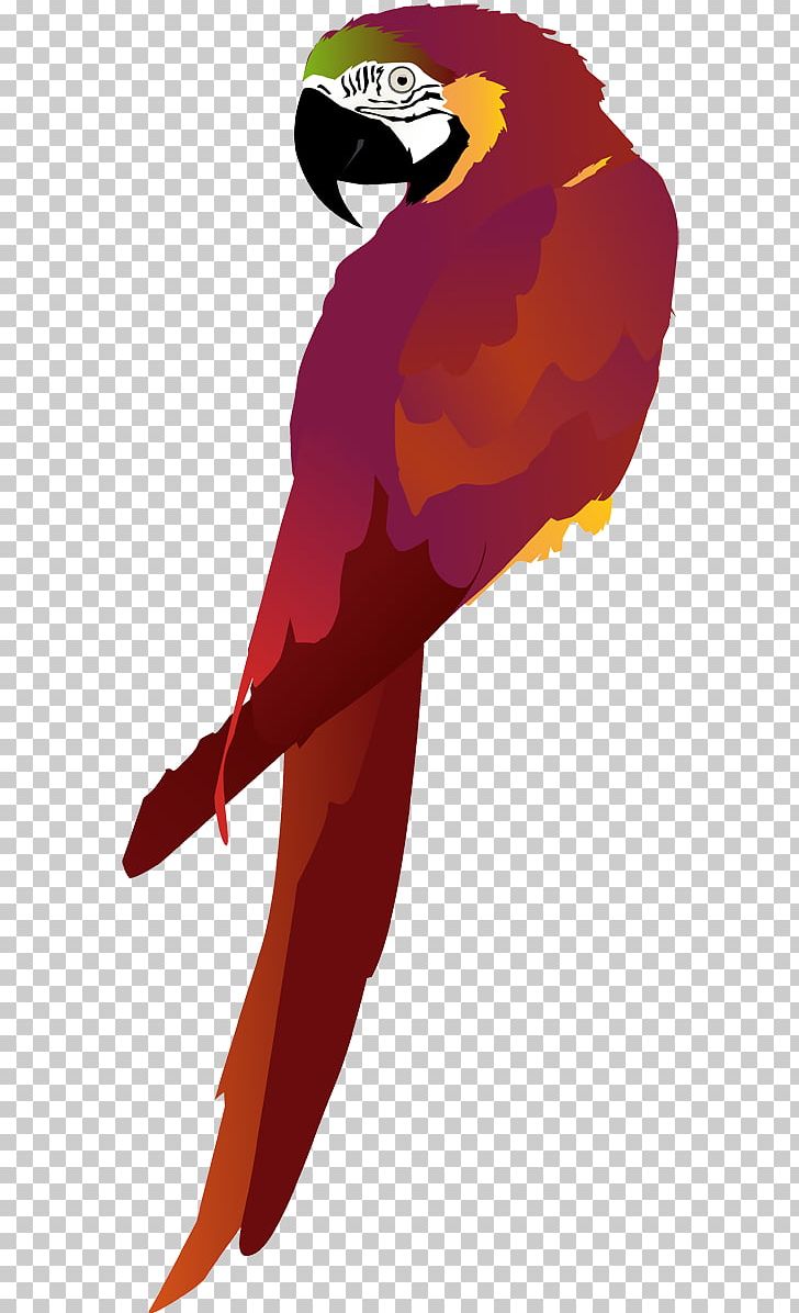 Macaw Beak Bird Wing PNG, Clipart, Animals, Beak, Bird, Character, Feather Free PNG Download