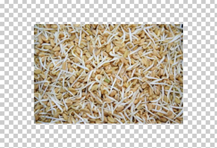 Oat Cereal Germ Straw Mixture PNG, Clipart, Cereal Germ, Commodity, Fenugreek, Grain, Grass Family Free PNG Download