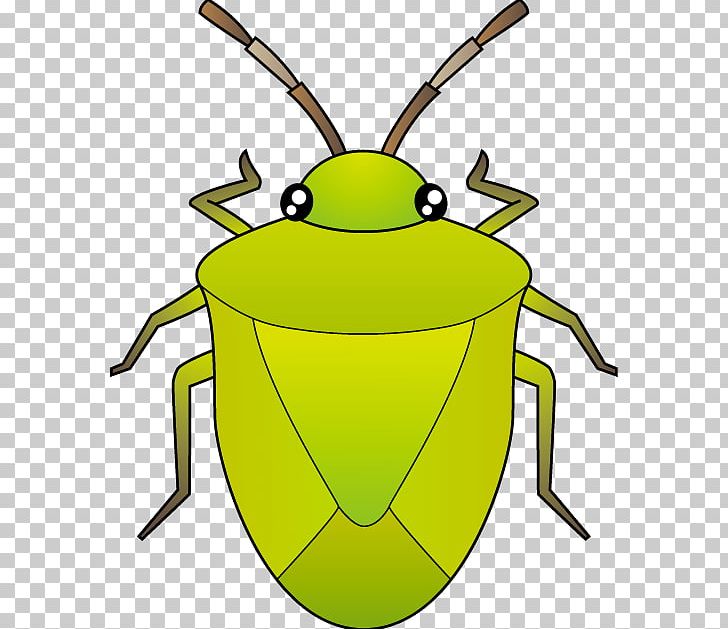 Pentatomoidea Insect Pest PNG, Clipart, Amphibian, Animals, Artwork, Beetle, Blog Free PNG Download
