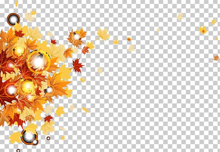 Stock Photography PNG, Clipart, Autumn Tree, Autumn Vector, Banana Leaves, Circle, Computer Wallpaper Free PNG Download
