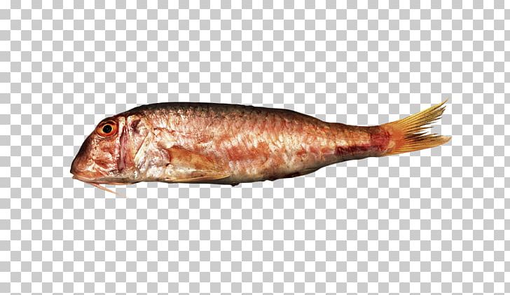 Kipper Mullus Barbatus Flathead Grey Mullet Mullus Surmuletus PNG, Clipart, Animals, Animal Source Foods, Fish, Fish Products, Flathead Grey Mullet Free PNG Download