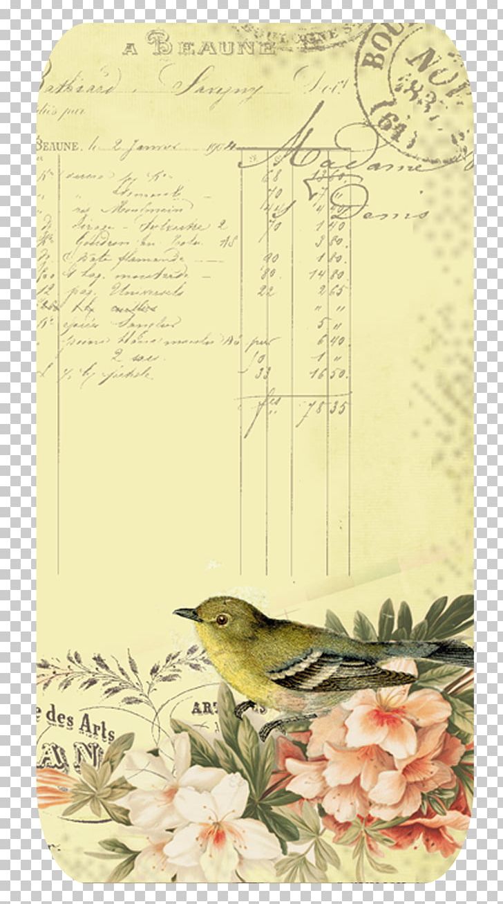 Paper Scrapbooking Bird Decoupage PNG, Clipart, Animals, Art, Bird, Clip Art, Collage Free PNG Download