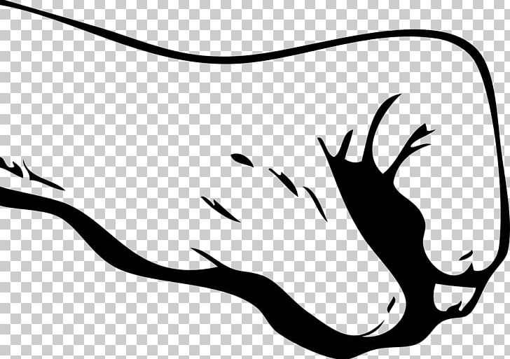 Raised Fist Punch PNG, Clipart, Art, Beak, Black, Black And White, Boxing Free PNG Download