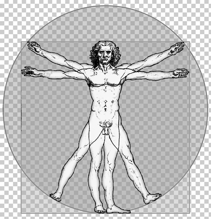 Vitruvian Man Homo Sapiens Person PNG, Clipart, Abdomen, Angle, Arm, Art, Black And White Free PNG Download