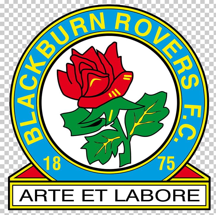 Blackburn Rovers F.C. EFL Championship English Football League Hull City Doncaster Rovers F.C. PNG, Clipart, Artwork, Association Football Manager, Blackburn Rovers Fc, Coach, Cut Flowers Free PNG Download