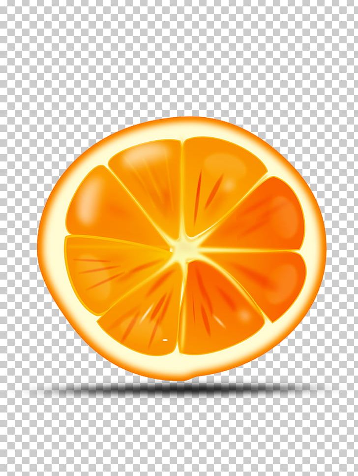 Orange PNG, Clipart, Circle, Citric Acid, Citrus, Document, Download Free PNG Download