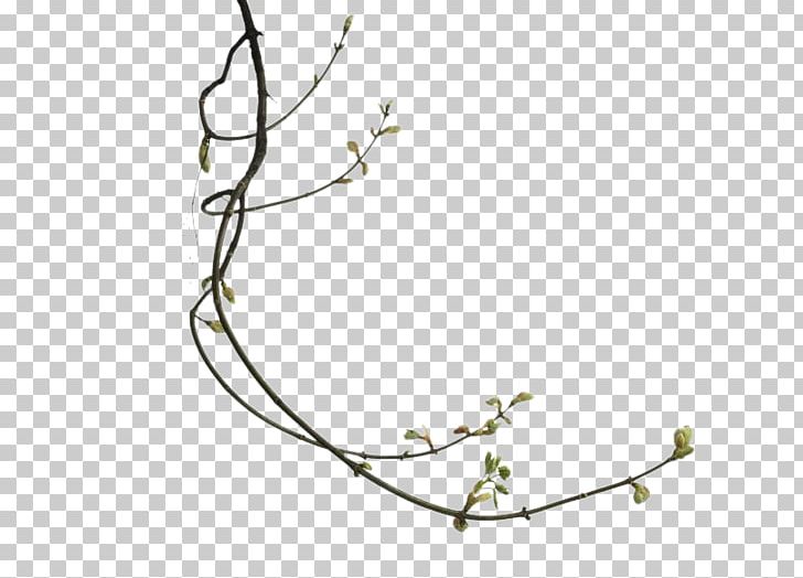 Twig Branch Leaf PNG, Clipart, Art Deco, Blog, Branch, Centerblog, Deco Free PNG Download