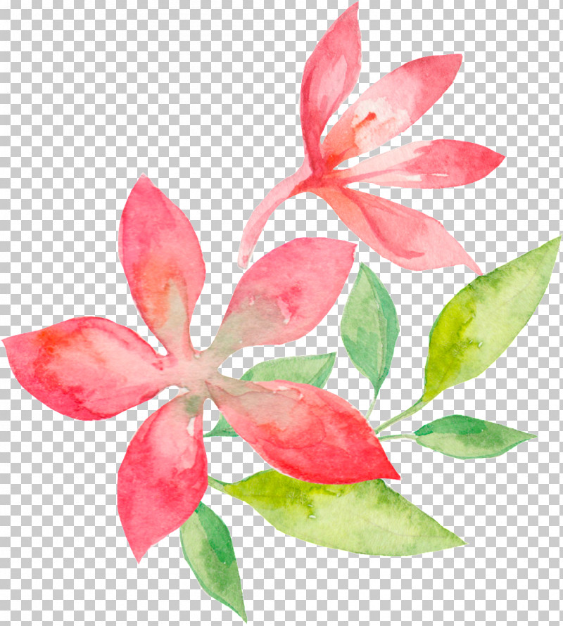 Floral Design PNG, Clipart, Abstract Art, Floral Design, Flower, Pastel, Petal Free PNG Download