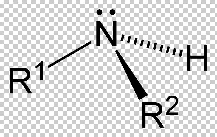 Amine Functional Group Substituent Amide Alkyl PNG, Clipart, Acid, Alkyl, Amide, Amine, Angle Free PNG Download