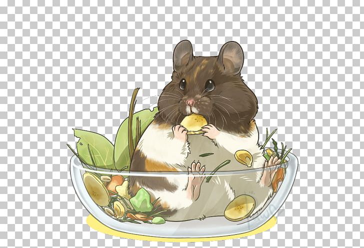 Dormouse Hamster Whiskers PNG, Clipart, Animals, Dormouse, Fauna, Hamster, Mouse Free PNG Download