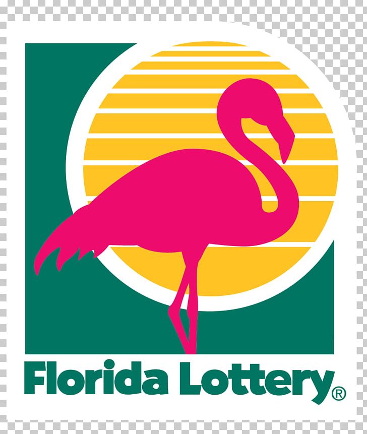Florida Lottery PNG, Clipart, Area, Artwork, Beak, Bird, Brand Free PNG Download