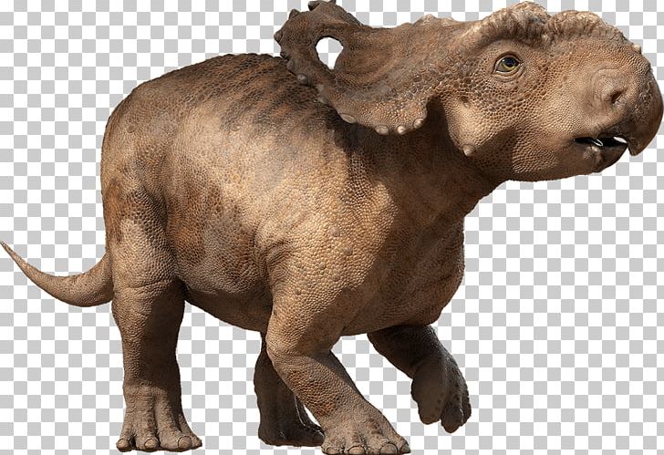Patchi Scowler Pachyrhinosaurus Triceratops Allosaurus PNG, Clipart, Alexornis, Allosaurus, Dinosaur, Fantasy, Fauna Free PNG Download