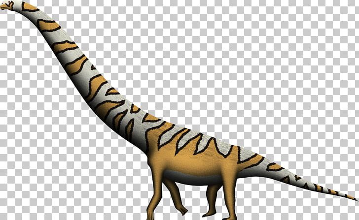 Velociraptor Dreadnoughtus Tyrannosaurus Giraffatitan Alamosaurus PNG, Clipart, Allosaurus, Animal Figure, Apatosaurus, Cedarosaurus, Crocodilian Armor Free PNG Download