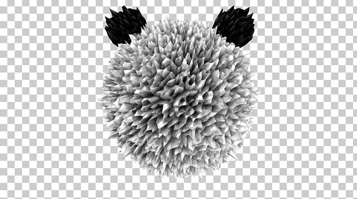 Black And White Hedgehog Monochrome Photography PNG, Clipart, Animals, Black, Black And White, Hedgehog, Monochrome Free PNG Download