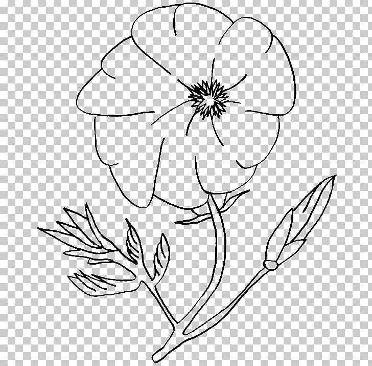 Coloring Book Christmas Coloring Pages Poppy Drawing PNG, Clipart, Adult, Art, Artwork, Black And White, Book Free PNG Download