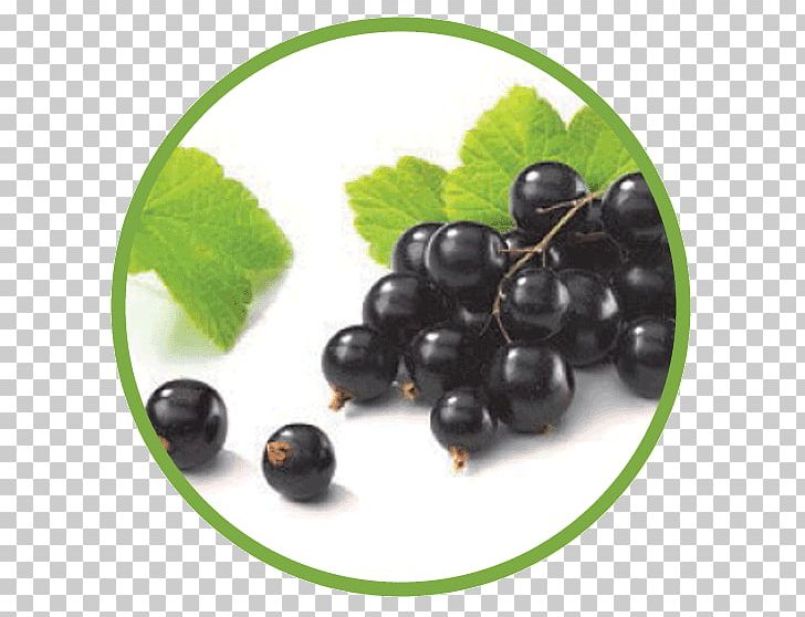 Juice Blackcurrant Seed Oil Extract PNG, Clipart, Berry, Bilberry, Blackberry, Black Currant, Blackcurrant Free PNG Download
