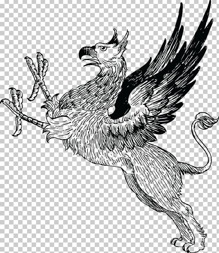 Griffin PNG, Clipart, Griffin Free PNG Download