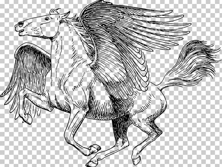 Medusa Poseidon Perseus Coloring Book Pegasus PNG, Clipart, Art, Artwork, Bird, Carnivoran, Chicken Free PNG Download