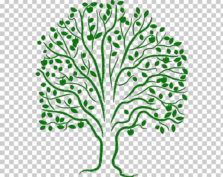Methodism Uniting Church In Australia Woman United Nations PNG, Clipart, Artwork, Branch, Flower, Grass, Leaf Free PNG Download