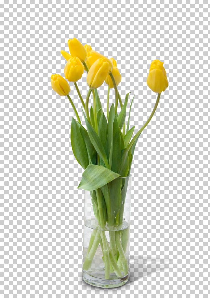 720p Glass PNG, Clipart, 3d Printing, Artificial Flower, Bedroom, Cura, Cut Flowers Free PNG Download