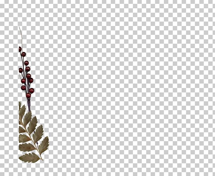 Blog Leaf Body Jewellery Western Saloon Coni'fer PNG, Clipart, Blog, Body Jewellery, Body Jewelry, Branch, Branching Free PNG Download