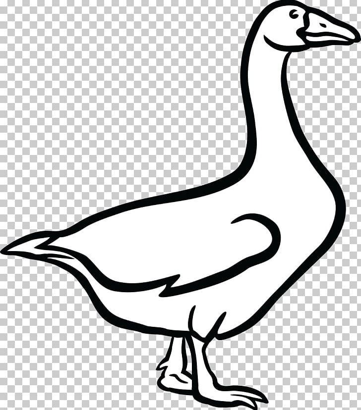 Canada Goose Duck PNG, Clipart, Animals, Artwork, Beak, Bird, Black And White Free PNG Download