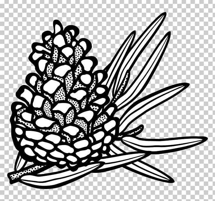 Conifer Cone Flower Conifers PNG, Clipart, Art, Artwork, Black And White, Cone, Conifer Cone Free PNG Download