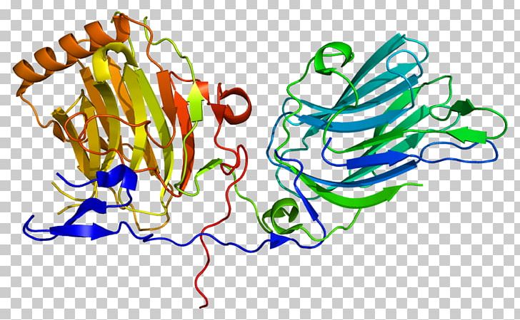 GAS6 Protein Receptor Tyrosine Kinase Gla Domain PNG, Clipart, Area, Art, Artwork, Axl Receptor Tyrosine Kinase, Gas6 Free PNG Download