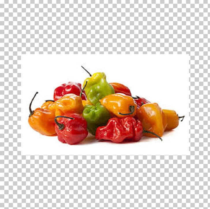 Jamaican Cuisine Caribbean Cuisine Habanero Chili Pepper Scotch Bonnet PNG, Clipart, Bell Pepper, Bell Peppers And Chili Peppers, Brochette, Capsicum, Capsicum Annuum Free PNG Download